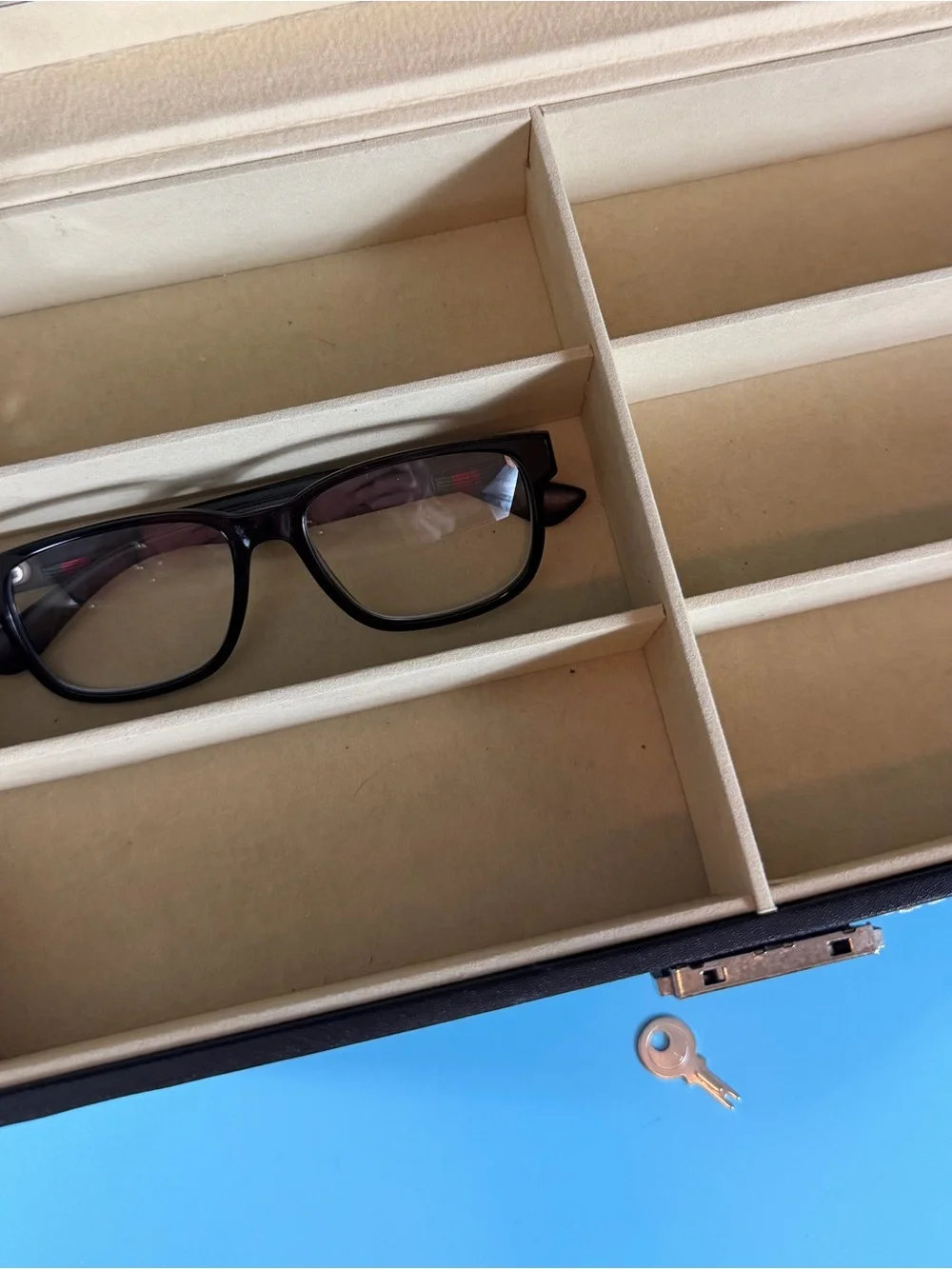 N/A sunglasses organizer